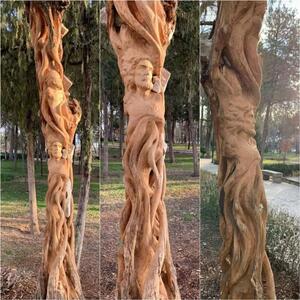 درختان خشکیده مجموعه خیام نیشابوری به اثر هنری تبدیل می‌شوند