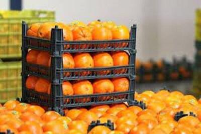 ۲۵ جایگاه عرضه میوه نوروز و ماه رمضان در کرج راه‌اندازی می‌شود