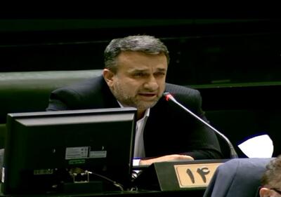 محمدیاری: وزیر اقتصاد به توقف پرداخت وام‌های خرد ورود کند