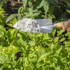 پنج مورد از مهم ترین دلایل کاربرد سیلیس در کشاورزی که نمی دانستید