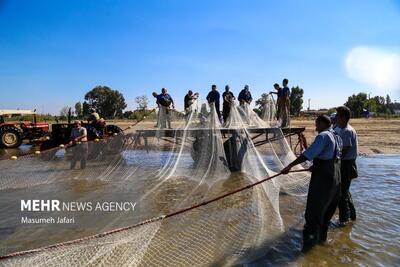 صید ماهی در رودخانه‌ها و تالاب‌های خوزستان ممنوع شد