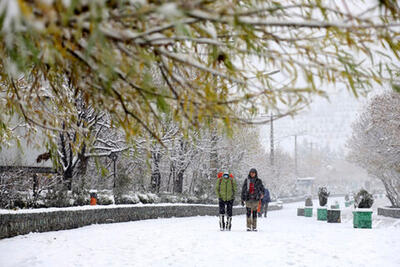 تهرانی‌ها منتظر بارش برف و باران باشند