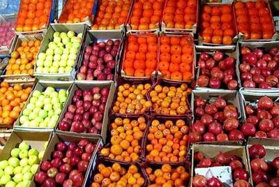 برپایی ۲۰ ایستگاه و ۱۰ بازارچه توزیع میوه در شهر همدان