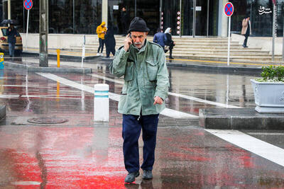 عکس/ بارش باران در مشهد