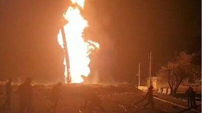 آتش گرفتن یک درخت در قیطریه تهران | باز هم بالن آرزوها حادثه آفرید