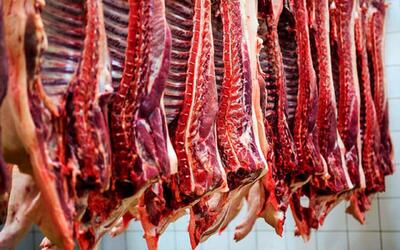 روند کاهش تولید گوشت قرمز در کشور یک ساله شد/ کاهش 15 درصدی مقدار عرضه نسبت به سال گذشته