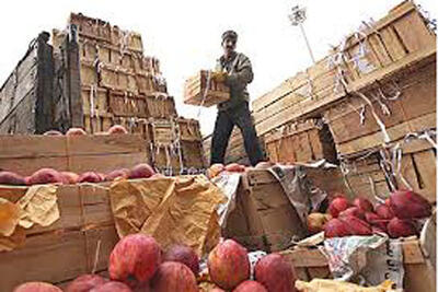آغاز توزیع میوه و خرما در استان تهران/ کمبود در عرضه کالا نداریم
