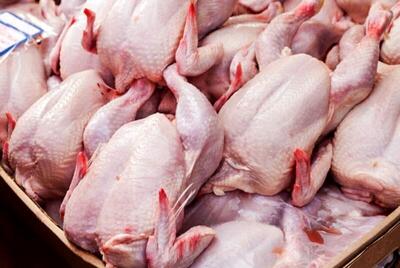 قیمت مرغ در بازار امروز (پنجشنبه 24 اسفند )