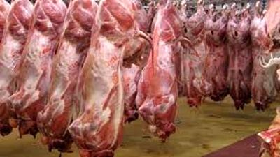 قیمت گوشت دوبرابر شد | قیمت دام زنده در سال آینده چقدر؟