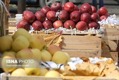 آغاز توزیع میوه تنظیم بازار شب عید از ۲۶ اسفند در سیستان‌وبلوچستان