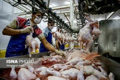 مشکلی از نظر تأمین گوشت مرغ در  لرستان طی ماه مبارک رمضان و ایام سال نو وجود ندارد