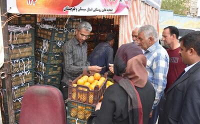 آغاز توزیع میوه تنظیم بازار شب عید از ۲۶اسفند در سیستان‌وبلوچستان