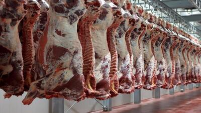 بیش از ۳۳ تن گوشت قرمز در بهمن عرضه شد