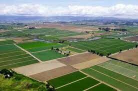تحکیم منافع ملی با حفاظت از اراضی کشاورزی/ گشت‌‌های نوروزی برای جلوگیری از تبدیل اراضی کشاورزی افزایش می‌یابد