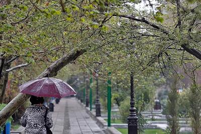سال جدید تهران با باران بهاری آغاز می‌شود