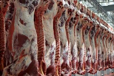 کاهش قیمت گوشت قرمز در بوشهر/ مرغ به اندازی کافی ذخیره‌سازی شد