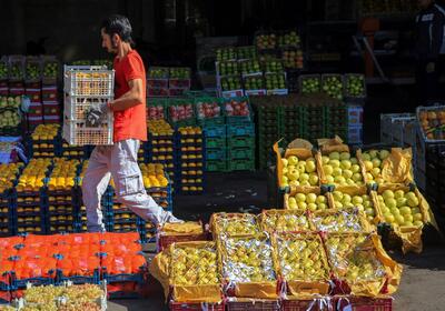 آغاز عرضه میوه شب عید با ۳۰ درصد کمتر از قیمت بازار - شهروند آنلاین