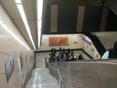 از دیدن این حیوانات در مترو تهران تعجب نکنید! - تسنیم