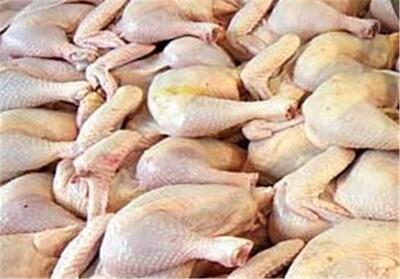 تولید 6 هزار و 120 تن گوشت مرغ در استان بوشهر - تسنیم