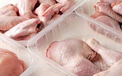 قیمت هر کیلو گوشت بوقلمون در بازار چند؟ | اقتصاد24