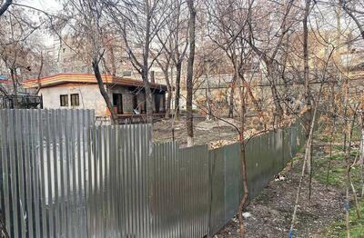 طبیعت تهران درمحاصره حصار‌های غیرقانونی؛ بوستان‏‌های در معرض خطر ساخت‏‌وساز در تهران را بررسی کرد | اقتصاد24