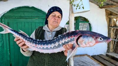 (ویدئو) فرآیند پخت یک غذای سنتی با ماهی خاویار توسط یک بانوی روستایی آذربایجانی