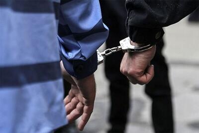 سارق کابل‌های فشار قوی در اسفراین بازداشت شد
