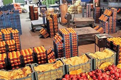 اعلام قیمت انواع میوه در میادین در آستانه سال نو | اقتصاد24