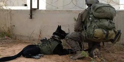 در تعقیب بی پایان سنوار: ارتش اسرائیل در گل و لای غزه گرفتار می شود