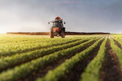 هزینه ۲۶ میلیارد تومانی در حوزه زیرساخت‌های شرکت‌های کشاورزی