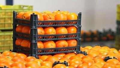 میوه‌های ارزان و با کیفیت را از این مراکز بخرید /آخرین قیمت انواع میوه در بازار | اقتصاد24