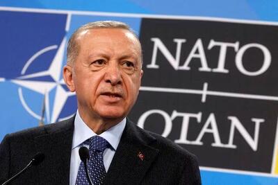 اردوغان: اقدامات خود در سوریه را تکمیل خواهیم کرد