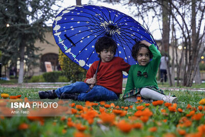 باران بهاری در شیراز