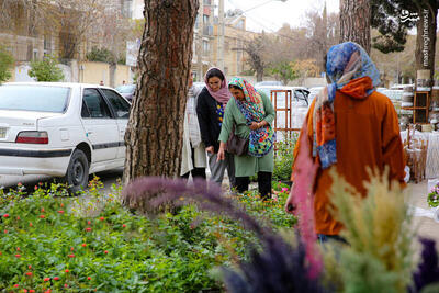 عکس/ بازار گل و گیاه شیراز