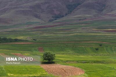 بهشتی در چند قدمی تهران