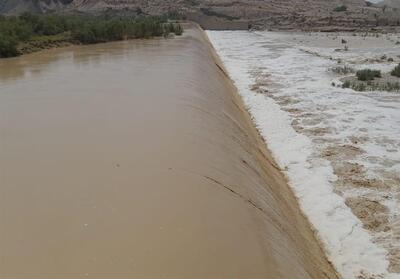 ثبت 69 میلیمتری بارش باران در شمال استان بوشهر - تسنیم