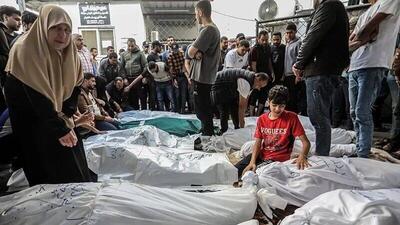 فیلم/ روایتی از قتل عام دلخراش خانواده ۳۶ نفره طباطیبی در غزه