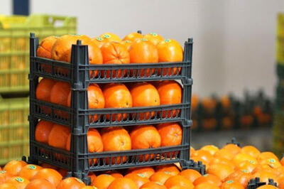 توزیع میوه های تنظیم بازار تا ۱۳ فروردین ادامه دارد