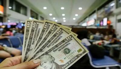 مدیرعامل اسبق بانک صادرات: سیاست یکسان سازی نرخ ارز راهکار جلوگیری از سوداگری است