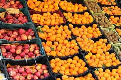 حدود 7 تن میوه هر روز در شهر قشم توزیع می‌شود