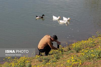(تصاویر) مسافران نوروزی در دریاچه توشن گرگان