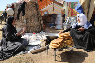 فعالیت ١٢ نوروزگاه عشایری برای ارائه تولیدات عشایر در جنوب کرمان