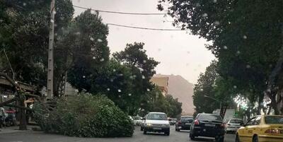 هشدار به تهرانی‌ها؛ وزش باد خیلی شدید در راه است | رویداد24