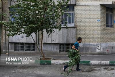 صدور هشدار نارنجی وزش باد خیلی شدید در تهران