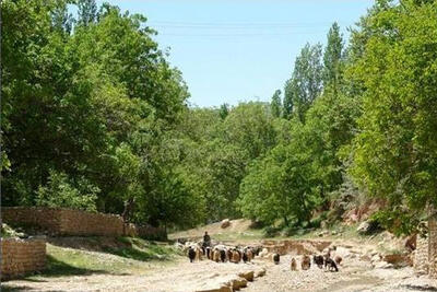 روستای استاد؛ سمفونی زیبا از نواها و نماهای طبیعی در خراسان شمالی