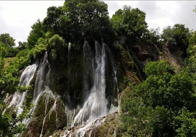 لرستان| جاری‌شدن آبشارهای پلکانی در آمازون ایران- فیلم دفاتر استانی تسنیم | Tasnim