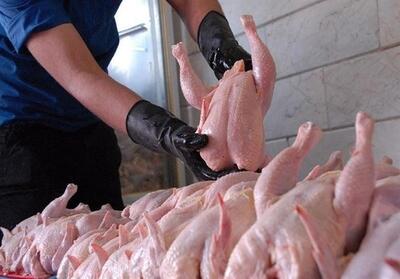 عرضه روزانه 440 تن گوشت مرغ در میدان بهمن - تسنیم