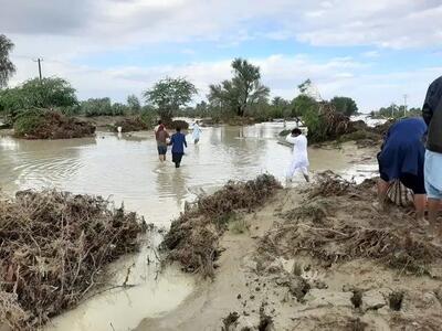 بارندگی بیش از ۲ هزار و ۲۰۰ میلیارد ریال خسارت به استان یزد وارد کرد