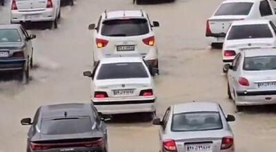 بارندگی‌ها در فارس خسارتی به دنبال نداشته است