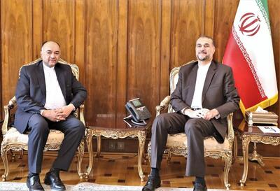 دیدار امیرعبداللهیان با سفیر ایران در امارات متحده عربی